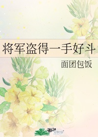 将军盗得一手好斗