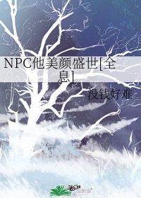 NPC他美颜盛世[全息]