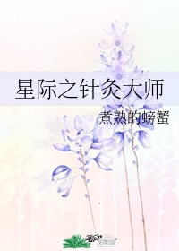 星际之针灸大师