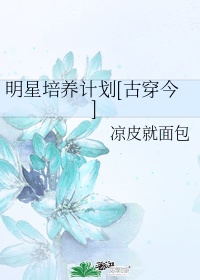 明星养成系统怎么样