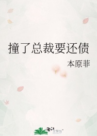 撞了总裁要还债