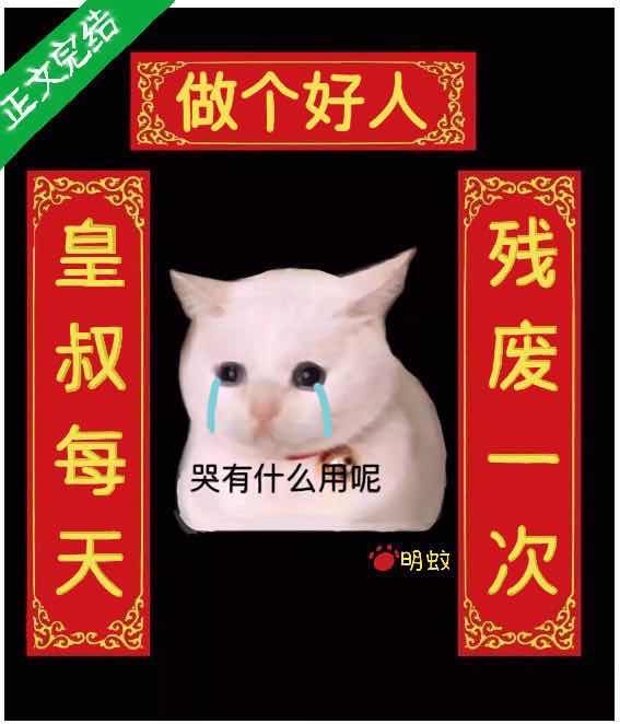 皇叔每天残废一次