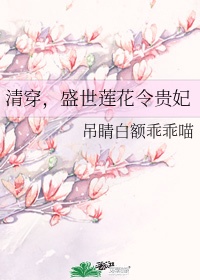 清穿，盛世莲花令贵妃