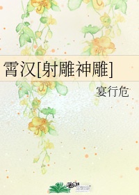 霄汉射雕神雕TXT